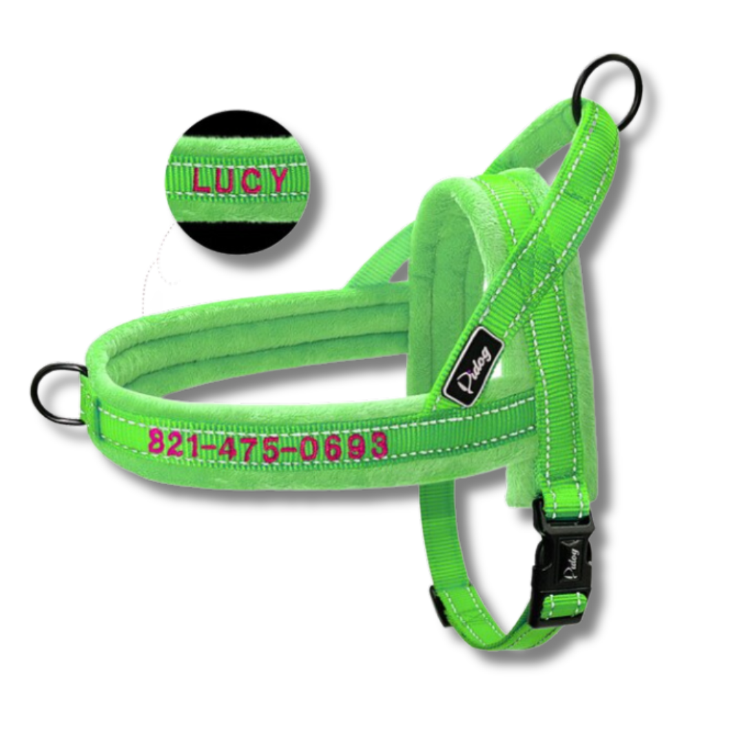 Bright Green Personalised Flanel Padded No-Pull Harness