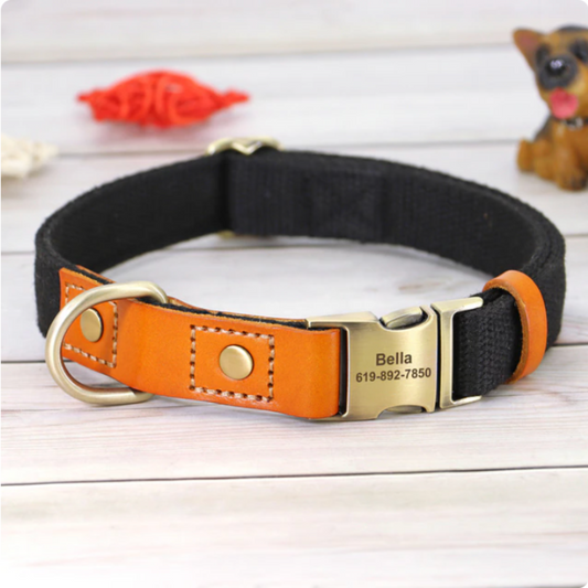 Jet Black TailorFit Personalised Nylon Leather Collar