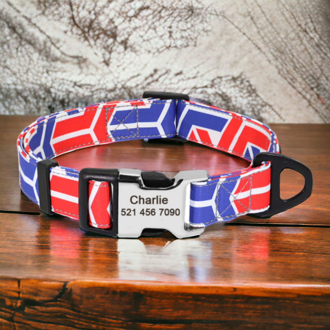 Electric Energy personalised dog collar