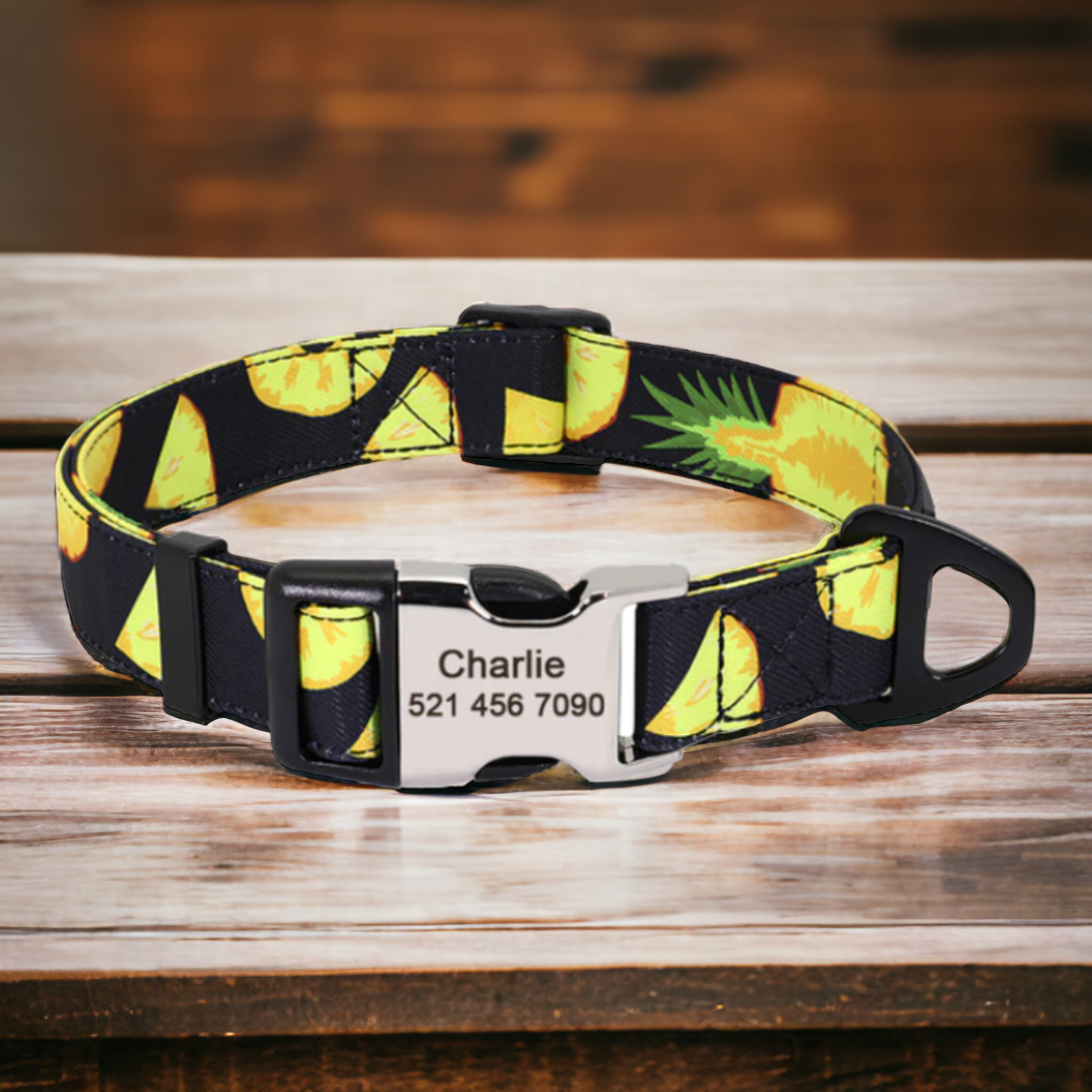 Lemon Slice personalised dog collar