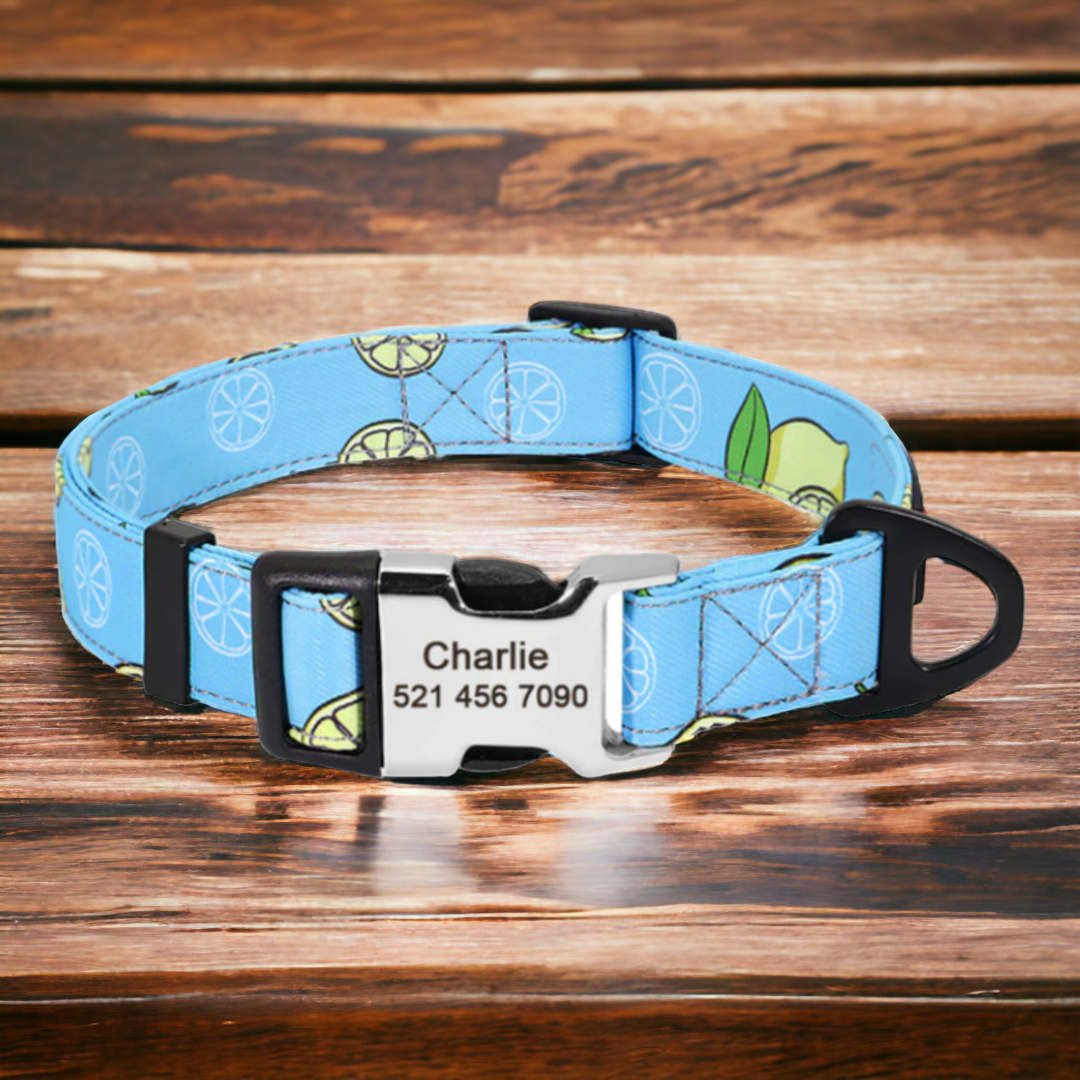 Blue Fruit personalised dog collar