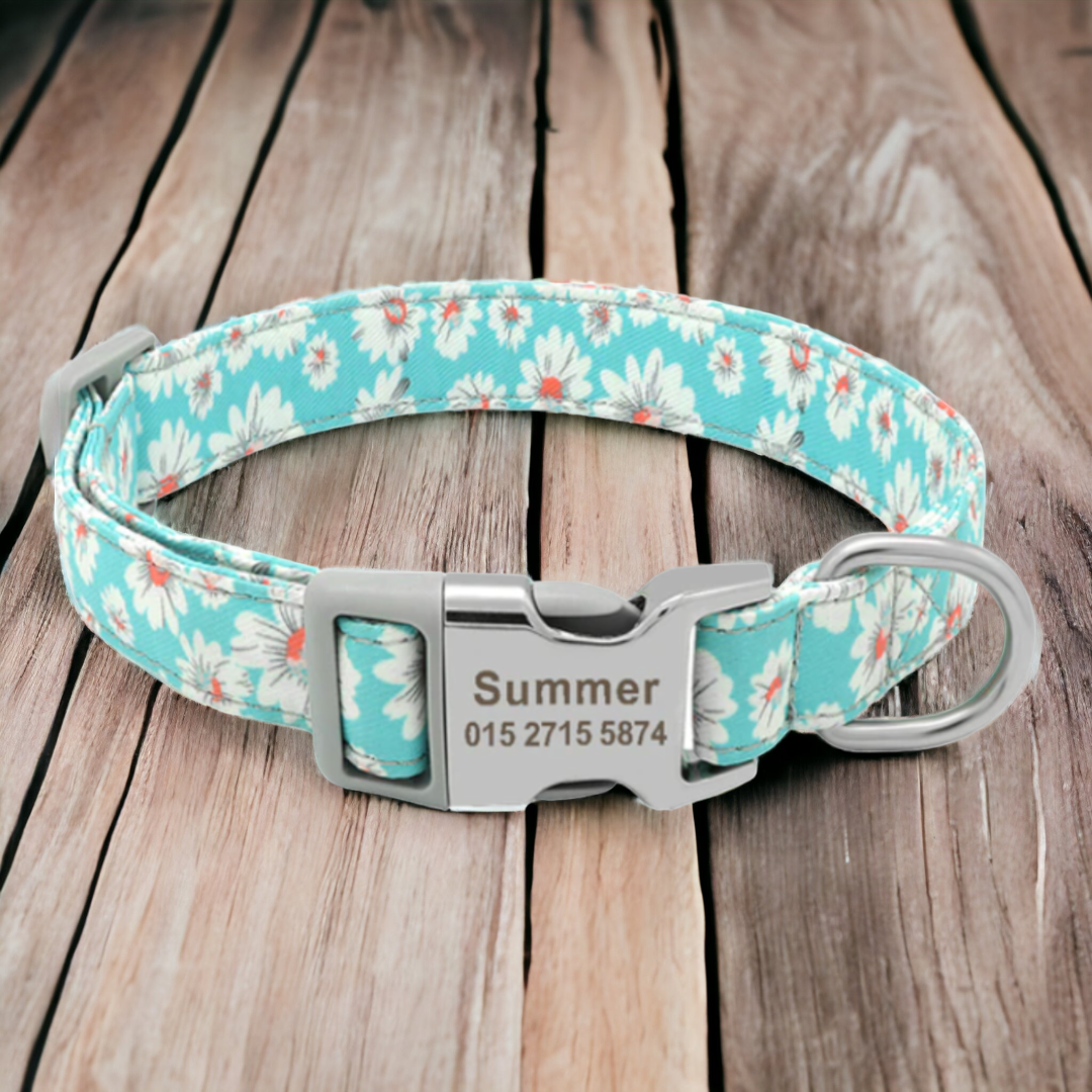 Leo Magic personalised dog collar