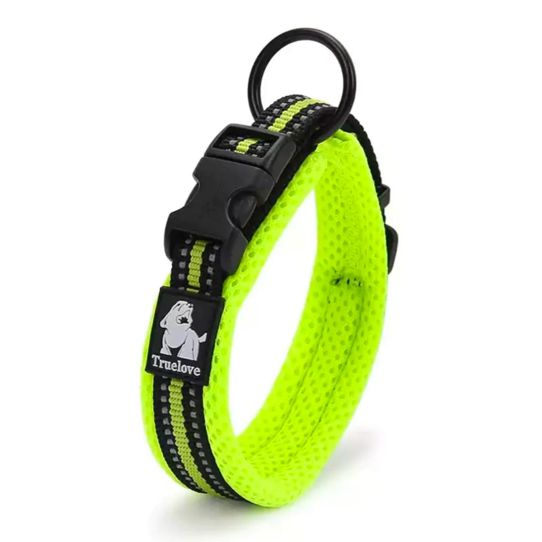 Bright Truelove Duraflex Reflective Collar