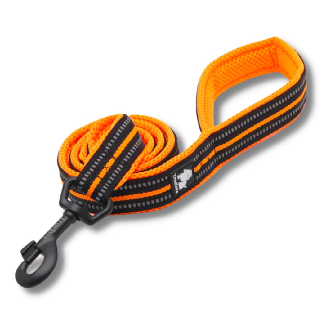 Orange Truelove 3M Reflective Leash