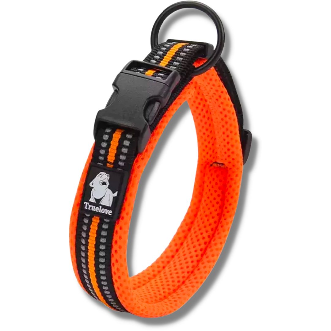 Orange Truelove Duraflex Reflective Collar