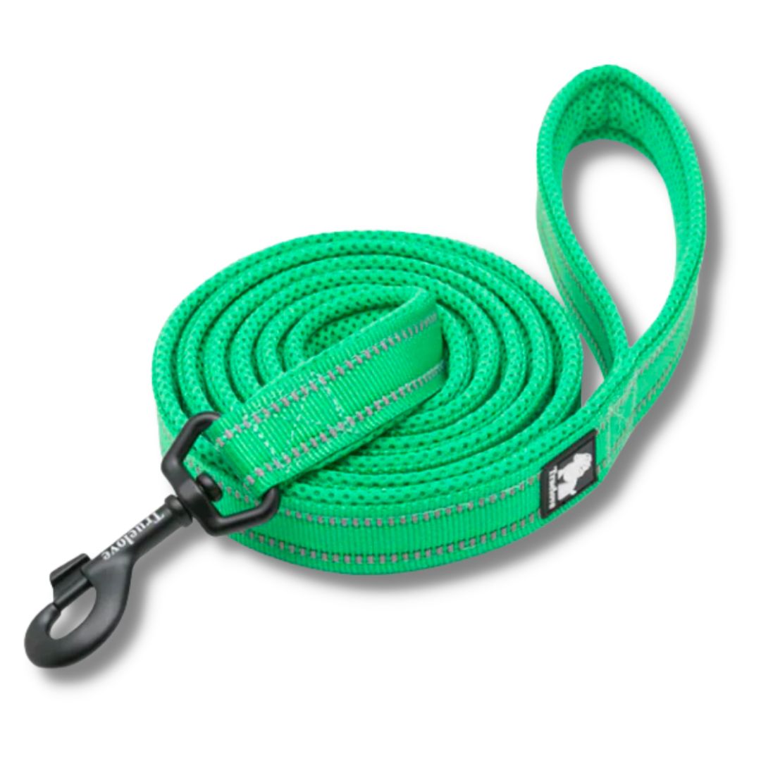 Bright Green Truelove 3M Reflective Leash