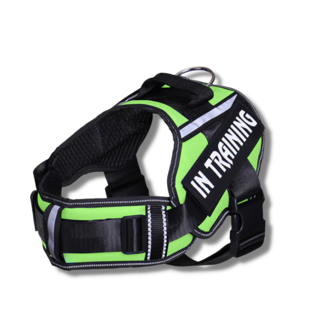 Bright Green SnugStrap Personalised Adjustable Dog Harness