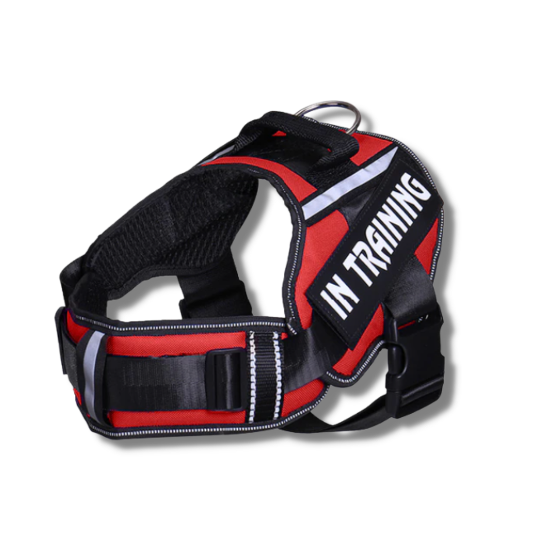 Red Race SnugStrap Personalised Adjustable Dog Harness