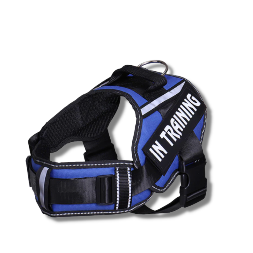 Ocean Blue SnugStrap Personalised Adjustable Dog Harness