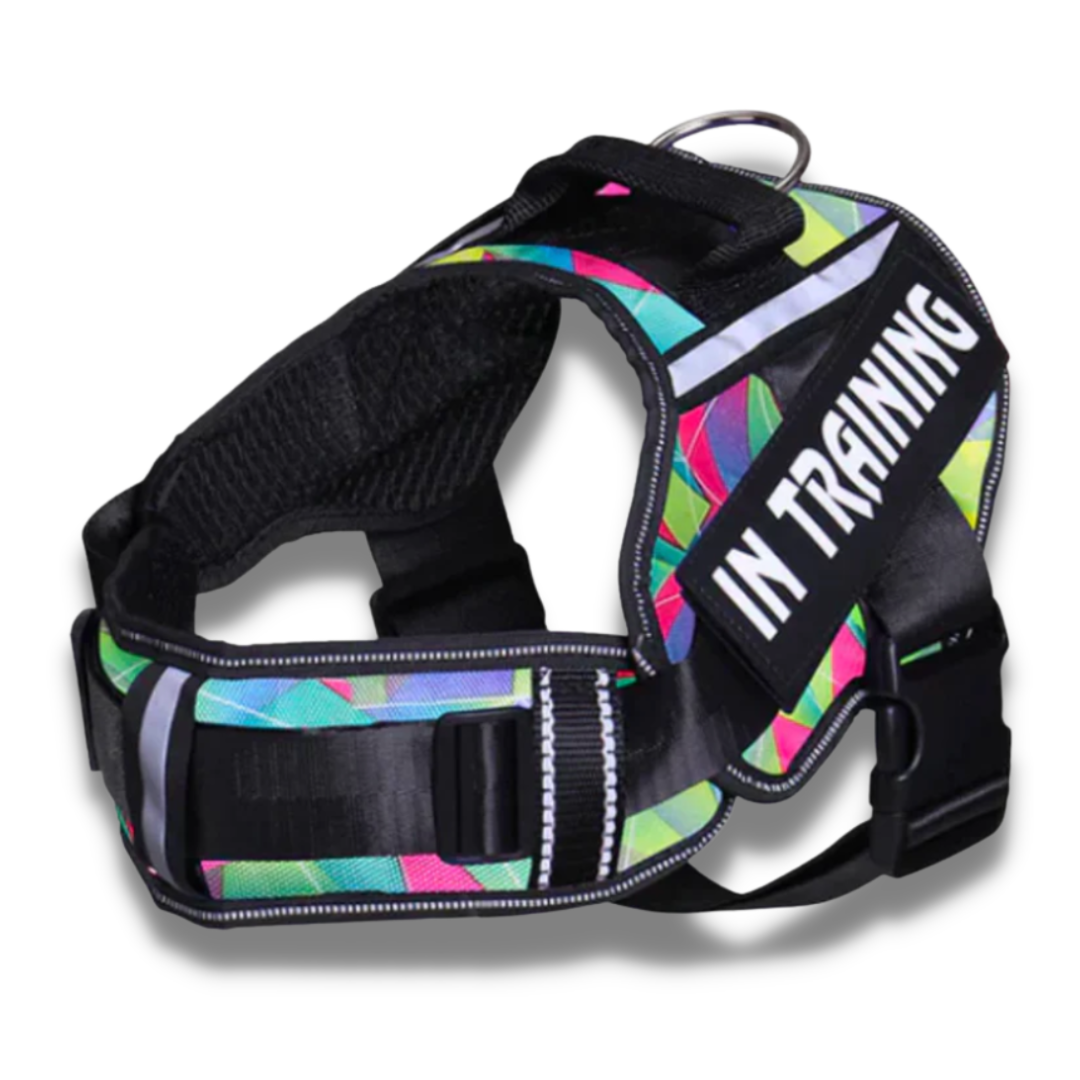 Prismatic SnugStrap Personalised Adjustable Dog Harness