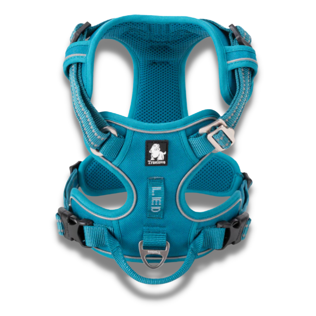 Blue Truelove No-Pull Adjustable Dog Harness