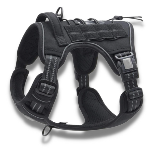 Night Ops Black Tactical No-Pull Adventure Harness