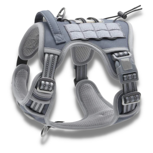 Gunmetal Grey Tactical No-Pull Adventure Harness