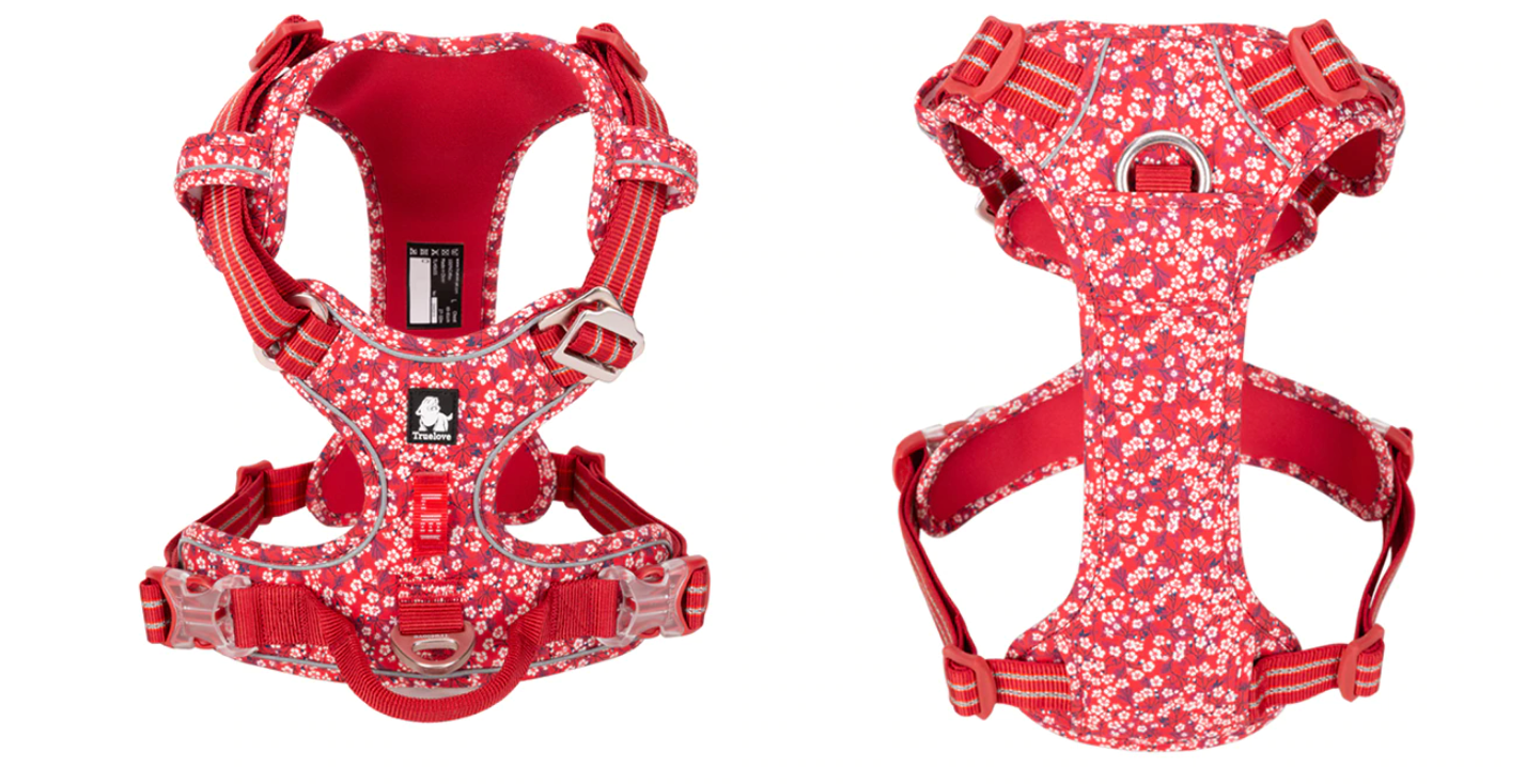 both sides of the Truelove Poppy Red Floral Dog Harness