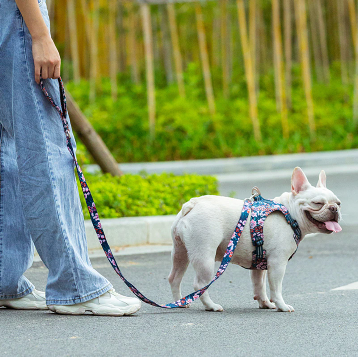 Dog harness with store pick up handle