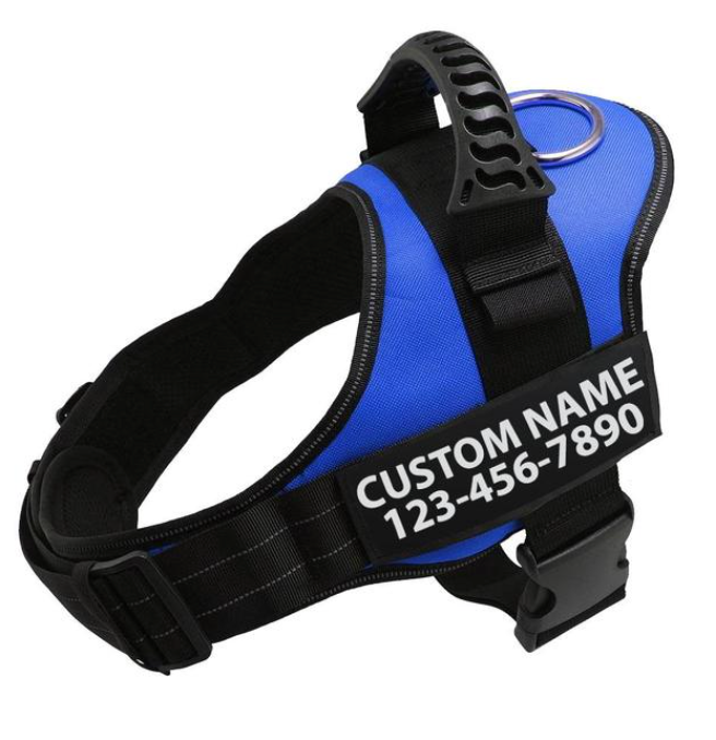 Ocean Blue Personalised Adjustable Dog Harness