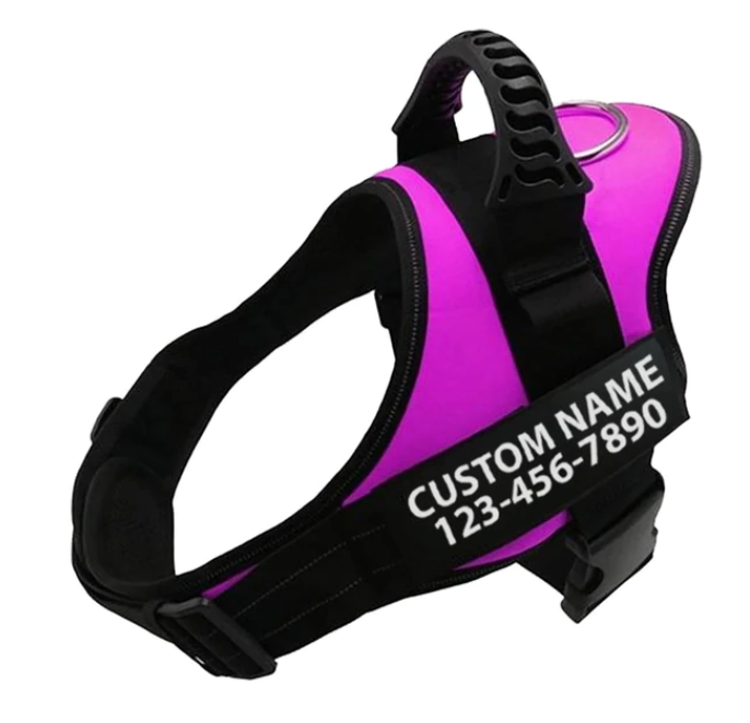 Pink Party Personalised Adjustable Dog Harness