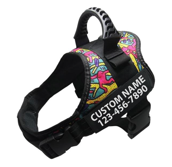 Fun Play Personalised Adjustable Dog Harness