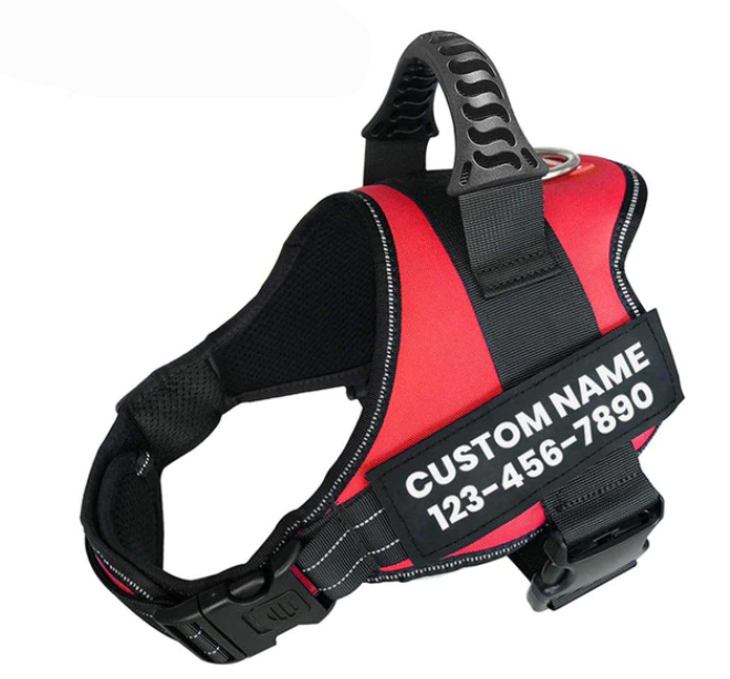 Red Racer Personalised Adjustable Dog Harness