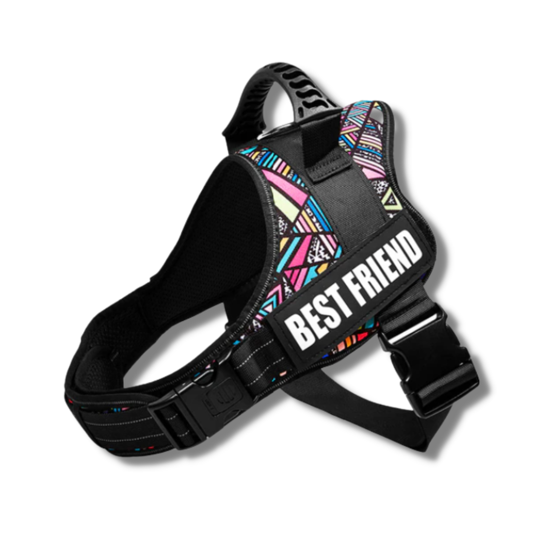 Personalised Adjustable Dog Harness